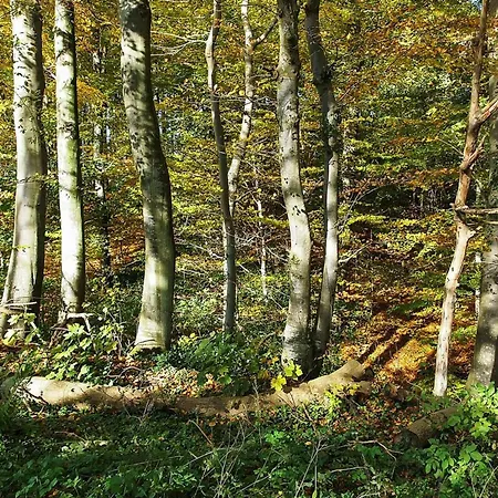 Henrijette - 200m From The Sea By Interhome * Sjolund