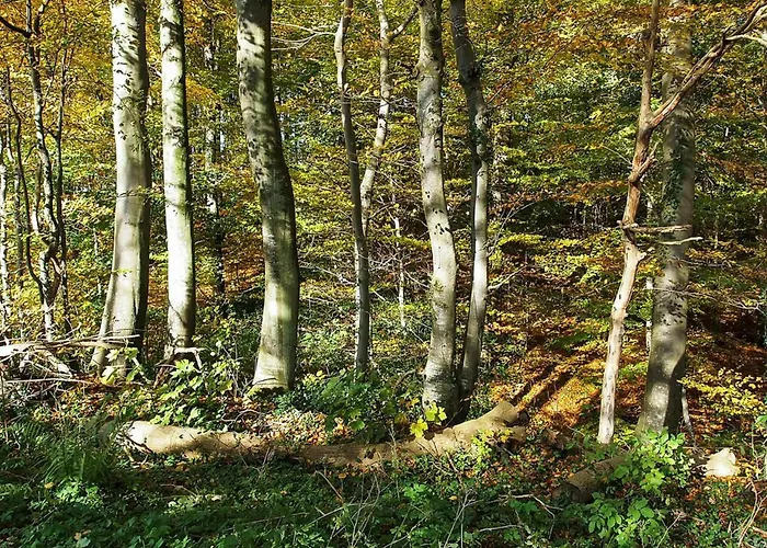 Henrijette - 200m From The Sea By Interhome * Sjolund